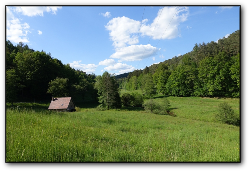 Bild von <a href="https://pixabay.com/de/users/vgtff-14489432/?utm_source=link-attribution&amp;utm_medium=referral&amp;utm_campaign=image&amp;utm_content=5451502">Volker Gröschl</a> auf <a href="https://pixabay.com/de/?utm_source=link-attribution&amp;utm_medium=referral&amp;utm_campaign=image&amp;utm_content=5451502">Pixabay</a>